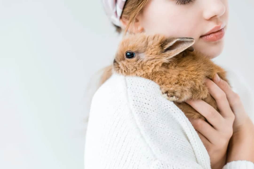 Samotność królika: Czy Twój pupil cierpi? Ekspert radzi!